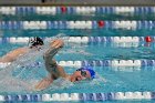 Swimming vs Bentley  Wheaton College Swimming vs Bentley. - Photo By: KEITH NORDSTROM : Wheaton, Swimming, Bentley